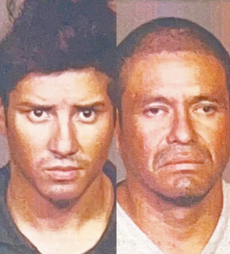 涉案難民 涉案難民