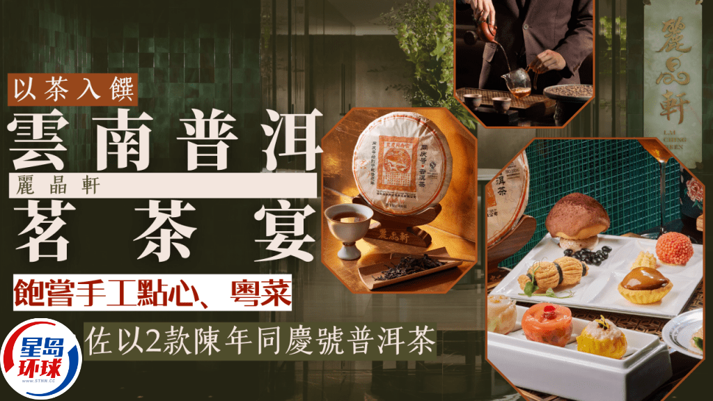 云南普洱茗茶宴 云南普洱茗茶宴