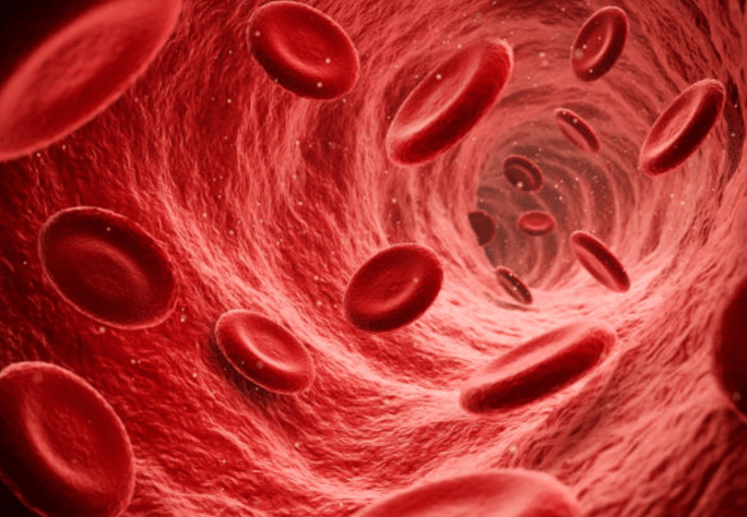 血管健康 血管健康