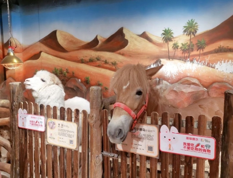 中山旅游攻略2024｜8. 大信新都匯 親子必去米果動物城，接觸60多種海陸空萌寵。（圖片來源：小紅書@心心正正）