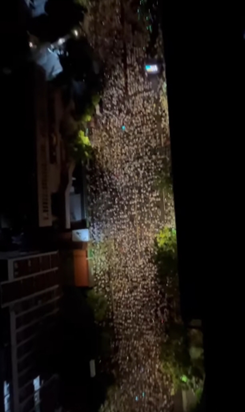 “館長”陳之漢8日晚間PO出小草集結空拍影片