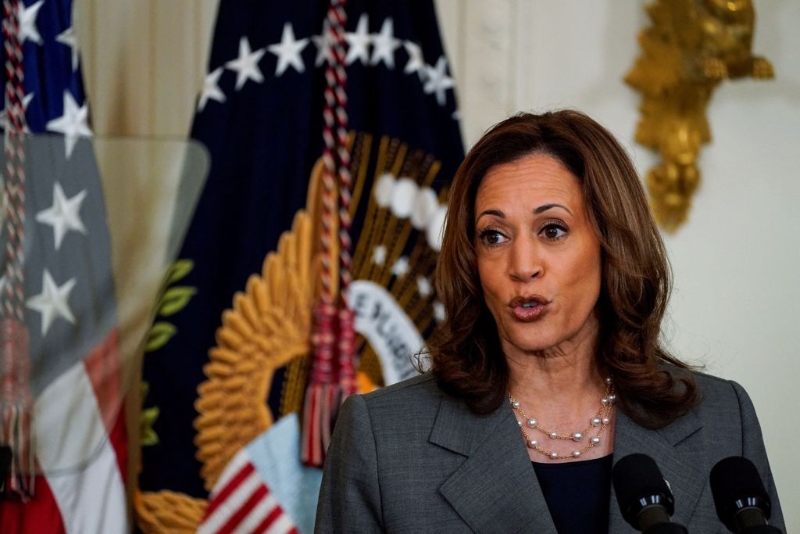 哈里斯背后有一名大力幫忙她的女金主，她就是喬布斯的遺孀羅琳喬布斯。路透社