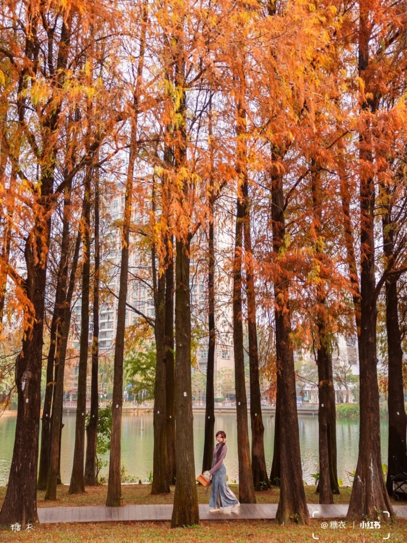 設有林蔭大道、人工湖、中式建筑、白色玻璃等打卡（圖片來源：小紅書@糖衣）