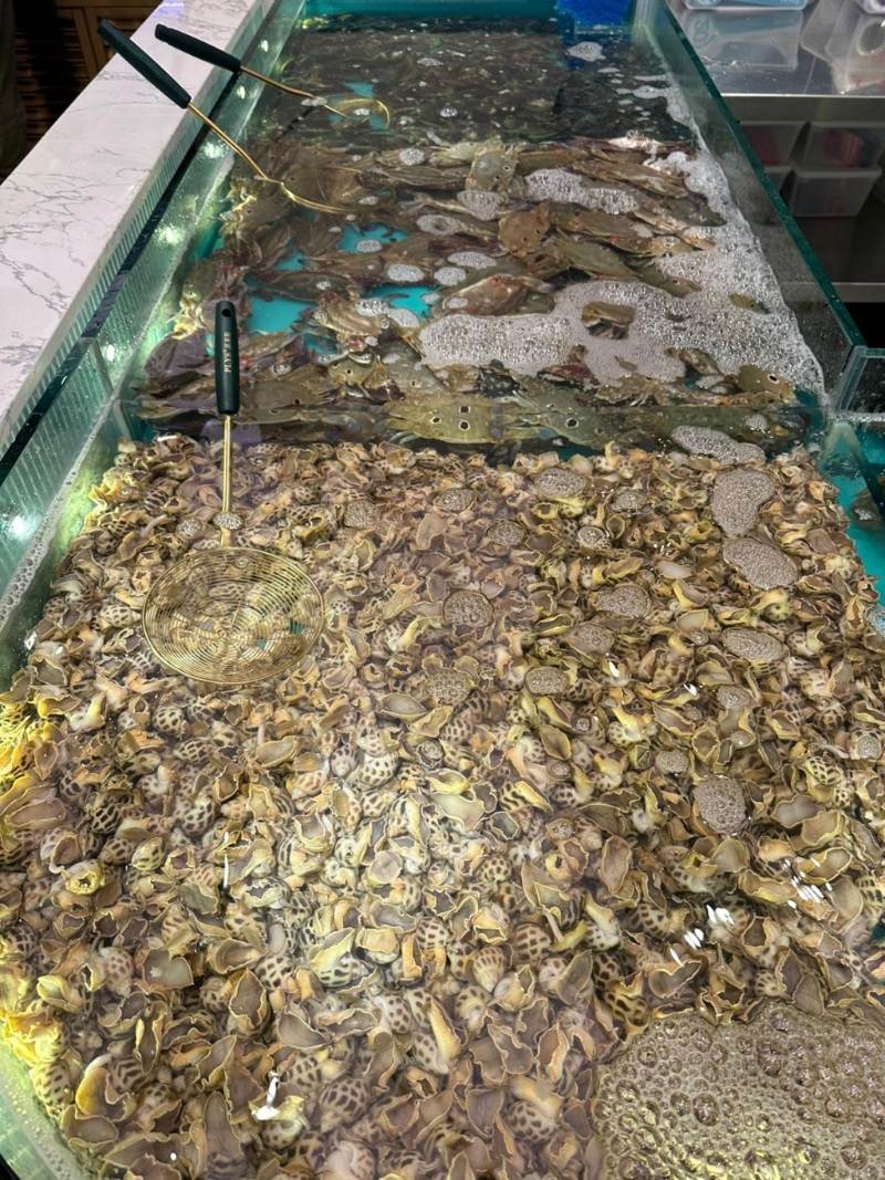 店內設有多個水池養殖不同種類的活海鮮(圖片來源:FB@千海水產海鮮火鍋放題-九龍灣店) 店內設有多個水池養殖不同種類的活海鮮(圖片來源:FB@千海水產海鮮火鍋放題-九龍灣店)