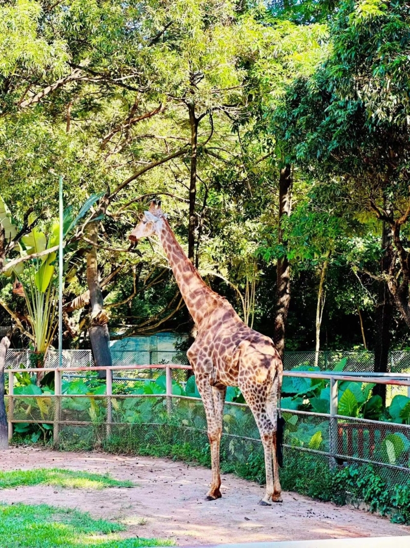 東莞圣誕節親子游