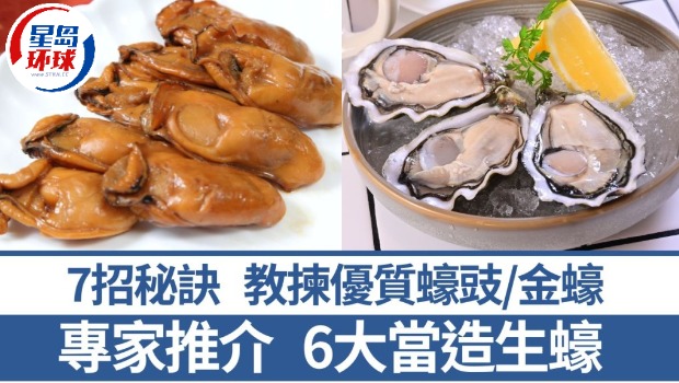 專家講解6大當造生蠔 專家講解6大當造生蠔