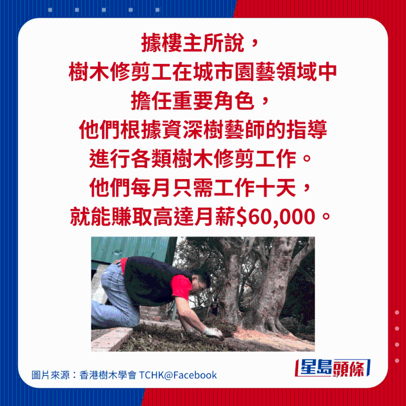 據樓主所說， 樹木修剪工在城市園藝領域中 擔任重要角色， 他們根據資深樹藝師的指導 進行各類樹木修剪工作。 他們每月只需工作十天， 就能賺取高達月薪$60,000。