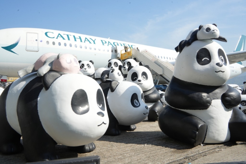 當中8款全新設計的大熊貓造型均以香港6只大熊貓是盈盈、樂樂，以及新成員可可、安安、龍鳳胎“家姐”和“細佬”為原型。