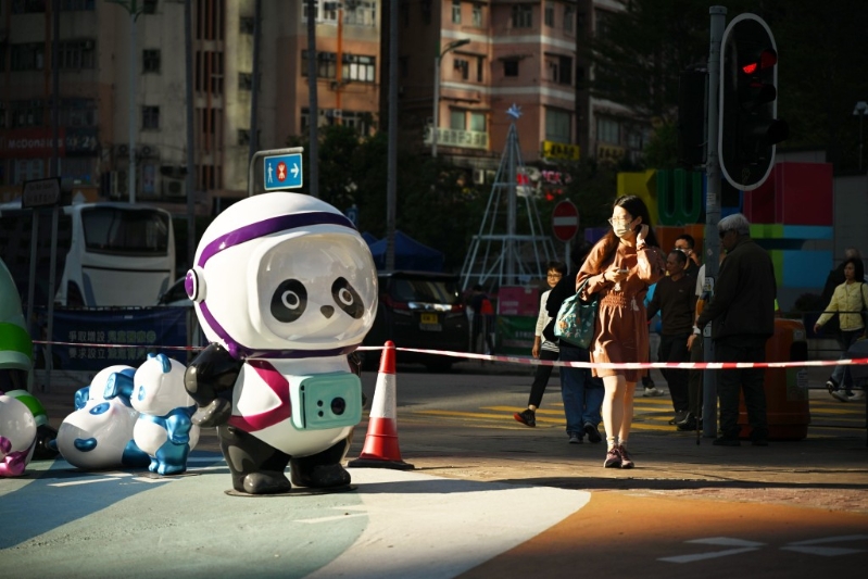 全城無處不熊貓，各地均有大熊貓主題展覽舉行。