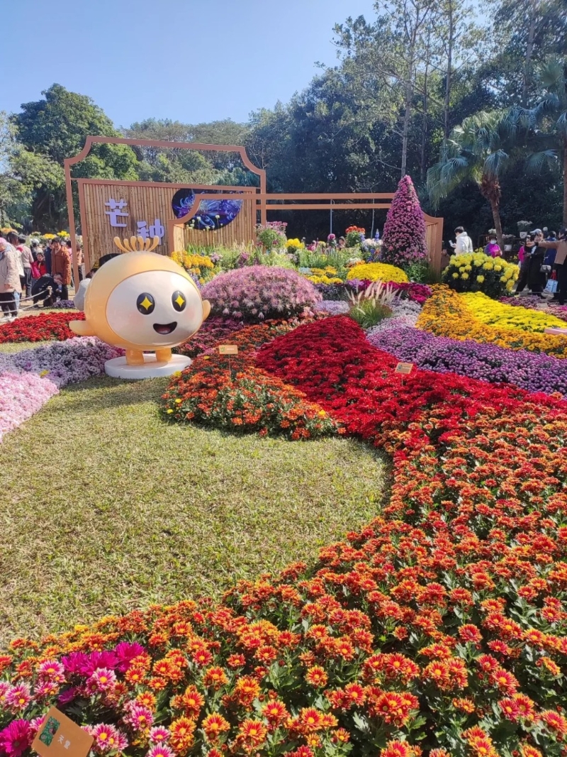 東湖公園菊花展 東湖公園菊花展