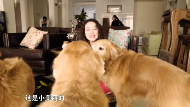 周海媚在大宅內養了不少寵物。