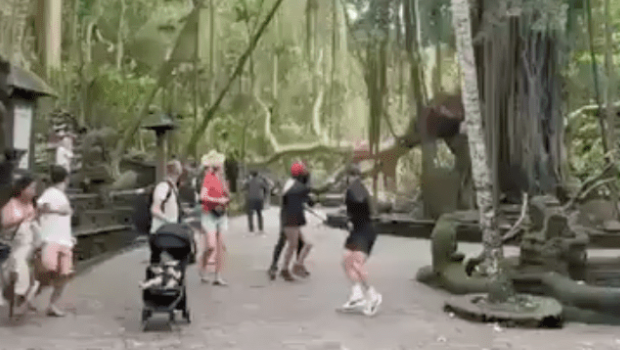 巴厘島名勝公園多棵大樹倒塌