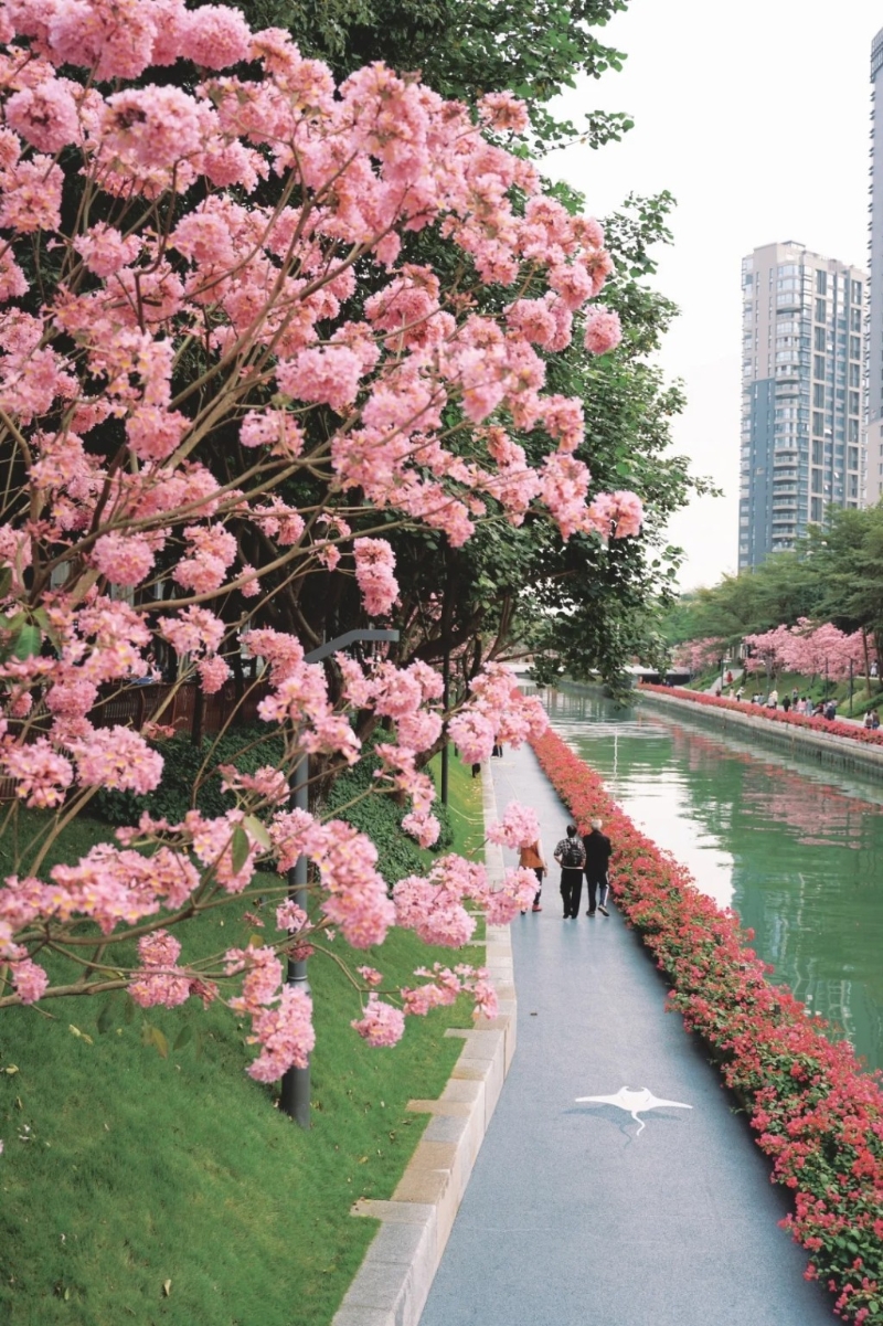 3. 后海中心河公園（圖片來源︰魔法小圓草@小紅書）