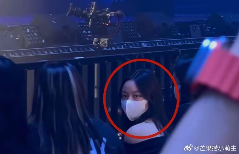 劉向蕙眼睛非常像母親朱麗蒨。