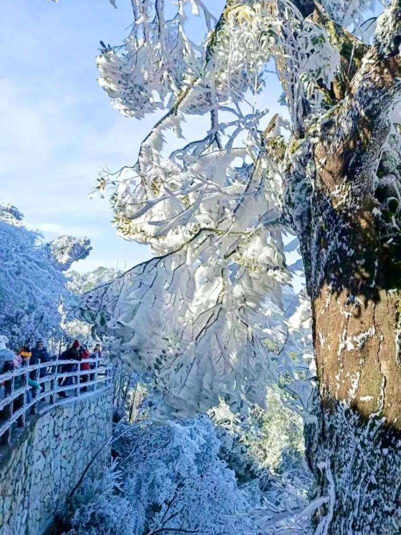 莽山國家森林公園(圖片來源：小紅書@扮貓吃鯊魚)