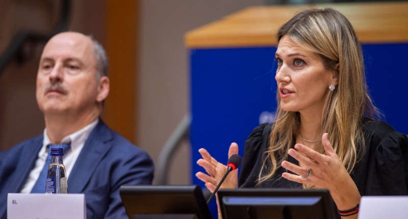 前歐洲議會副議長卡莉。