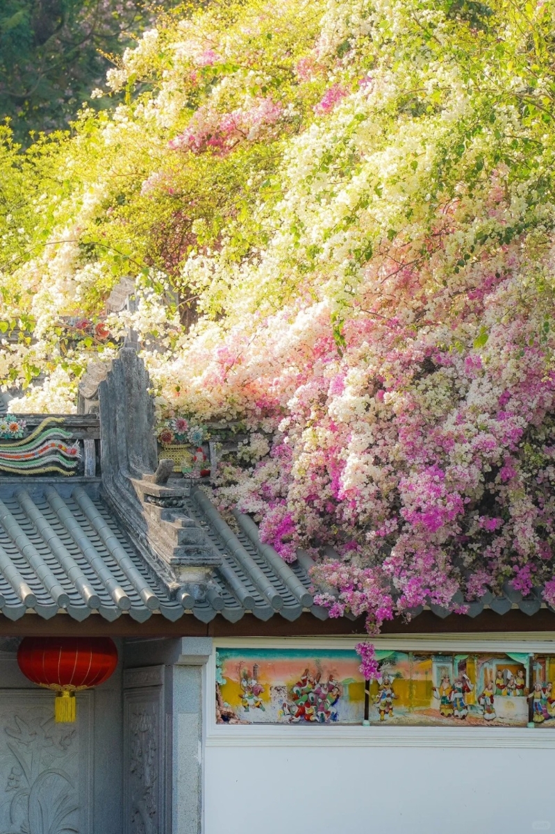 深圳國際園林花卉博覽園