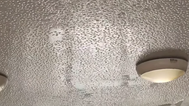 回南天天花也出水。