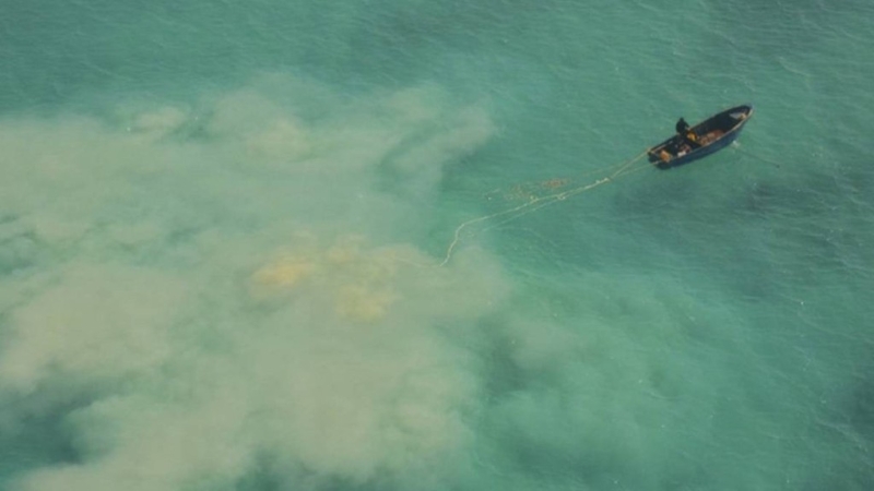 南海黃巖島。 美聯社 南海黃巖島。 美聯社