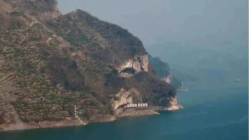 「狗仔山」蔚為奇觀。(微博)