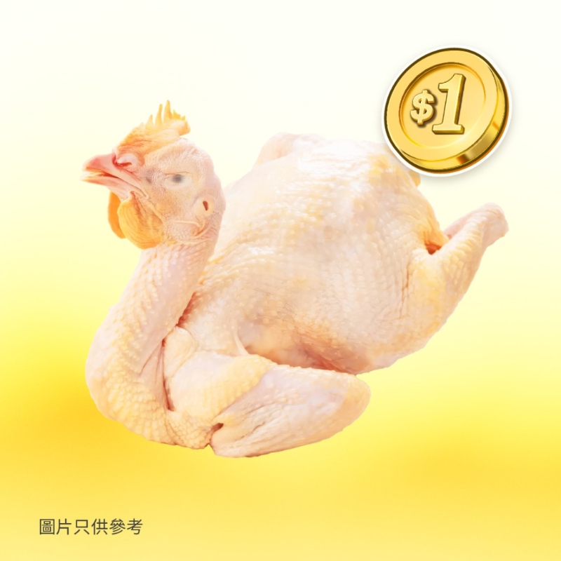 走地雞 走地雞