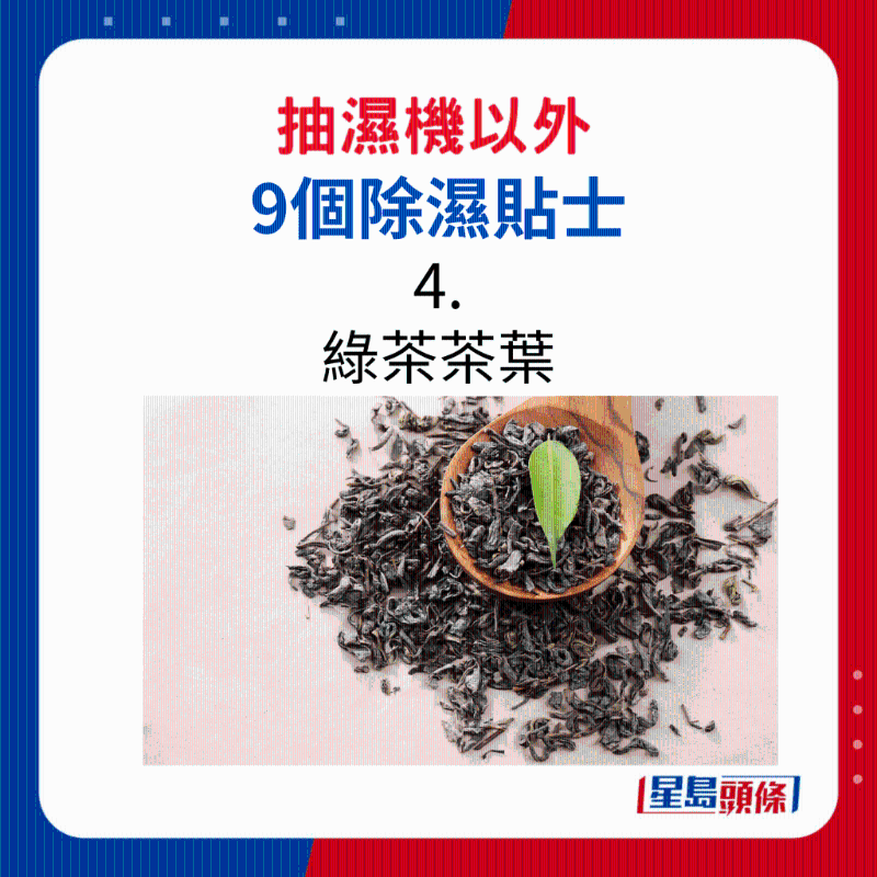 綠茶茶葉 綠茶茶葉