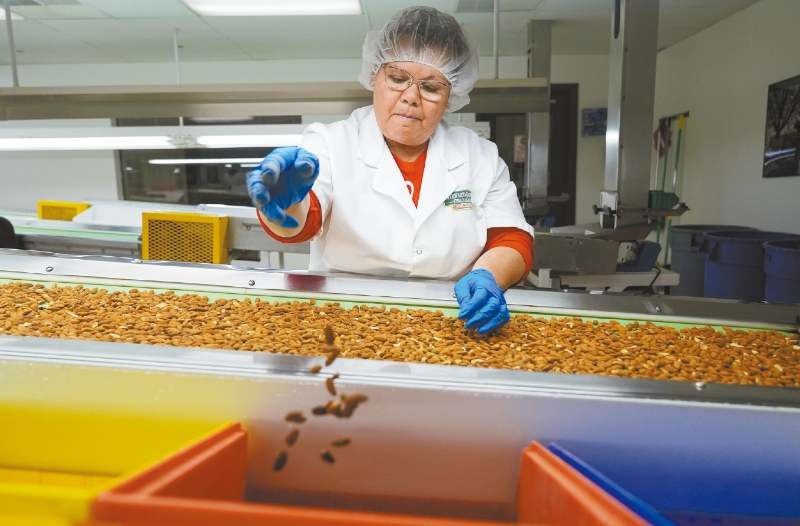 加州杏仁業面臨新關稅沖擊。