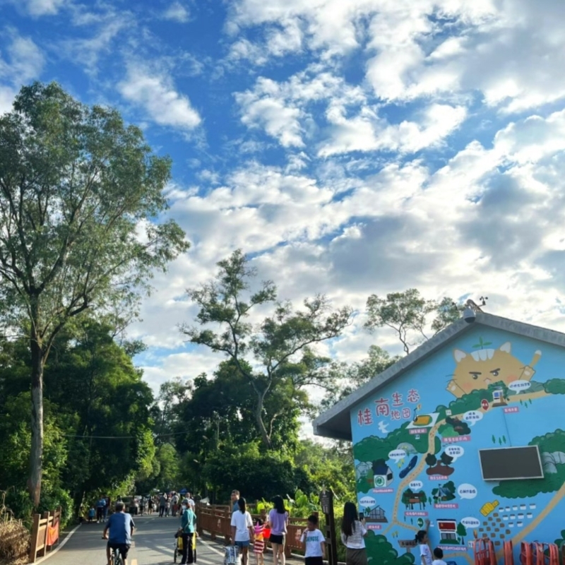 中山親子旅游2025｜1. 桂南村 從馬溪牌坊進入桂南村，可以輕鬆瀏覽農村風光。（圖片來源：小紅書＠蛋卷）