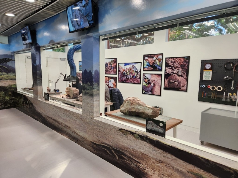 (圖片授權:FB@海馬仔 · 海馬媽媽) (圖片授權:FB@海馬仔 · 海馬媽媽)