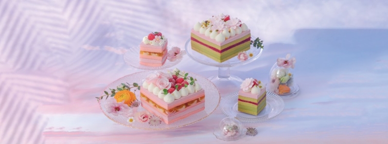 LIFETASTIC紅桑子主題蛋糕 LIFETASTIC紅桑子主題蛋糕