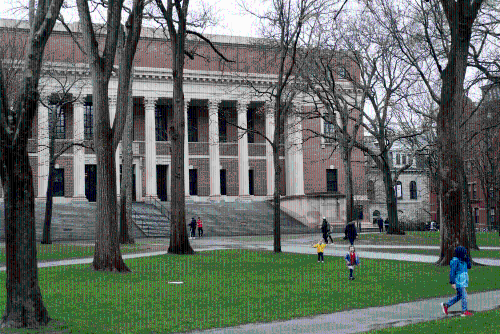 哈佛大學被禁收錄國際生，國際留學生感沮喪擔憂。