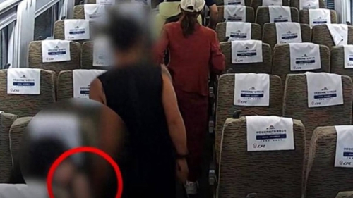 男子在北京的高鐵上胸襲女乘客，被行拘10日。