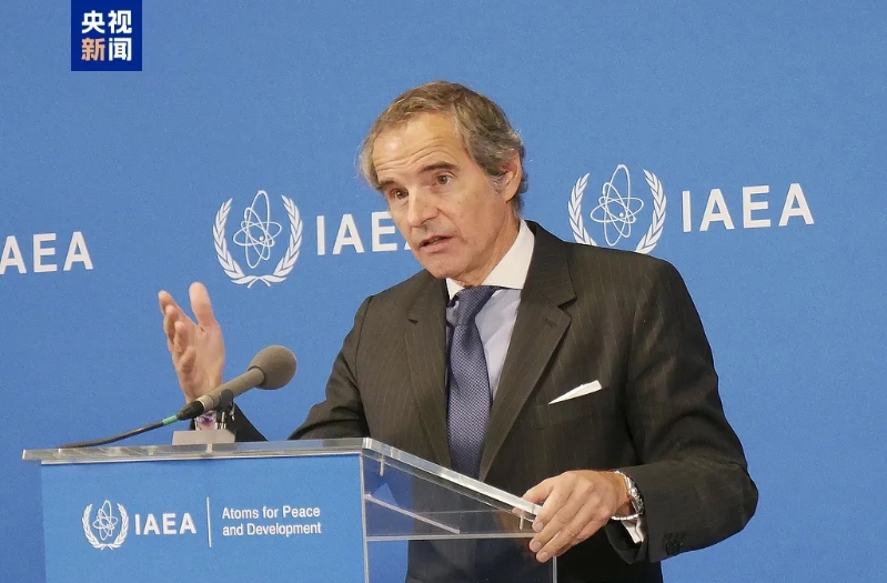 國際原子能機構總干事格羅西