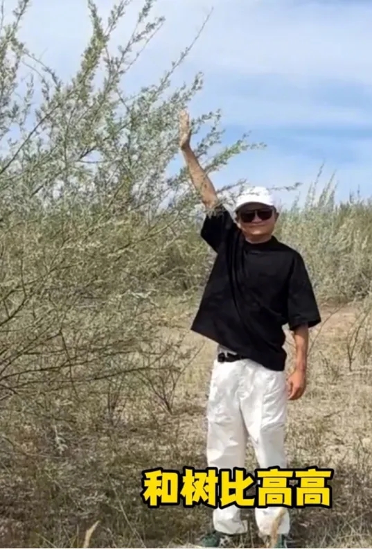 和樹比高 和樹比高