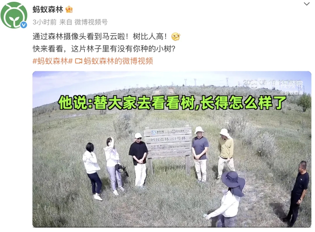 螞蟻森林 螞蟻森林